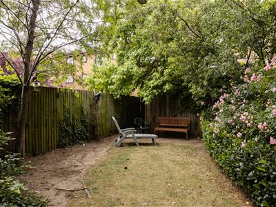 Picture 25